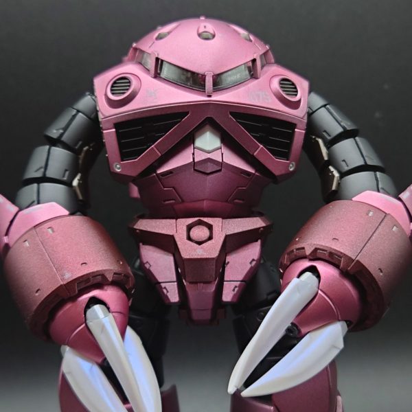 メタリックカラーズゴック