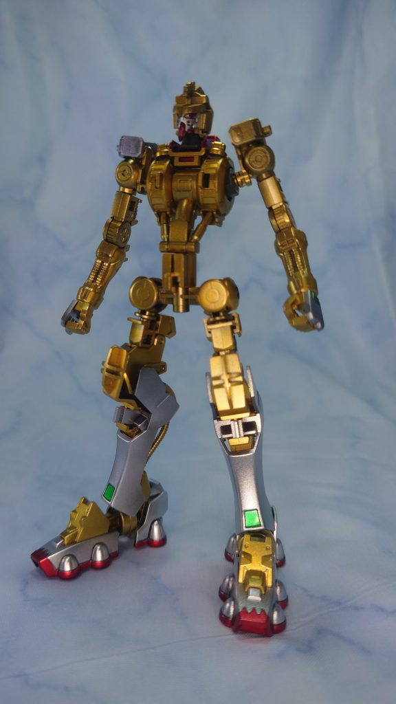 IBOシリーズ恒例のフレーム状態。右肩だけ色が違うのは完全なミスです。経緯はウコンと全く同じです