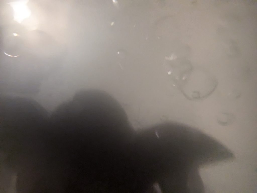 ゴッグ「僕もいるよ。めっちゃ深いとこだけど…」