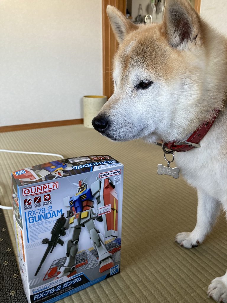 そこでヨドバシのプラモ屋へ行って買ってきたのがこのガンダムでした 久々のプラモ屋はテンション上がりましたね〜w
