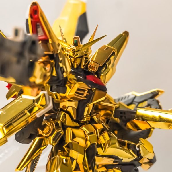 アカツキ(オオワシ装備)