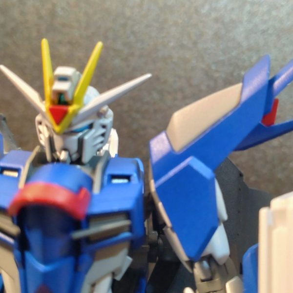 ライジングフリーダム　試験制作型