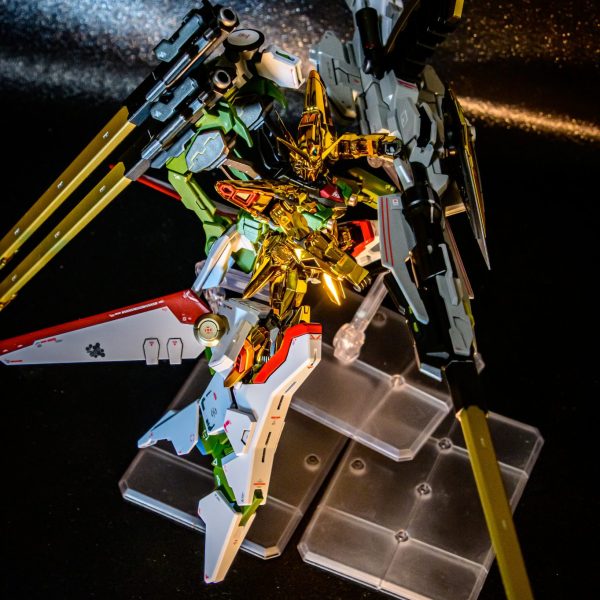 ゼウスシルエット＆RGアカツキ