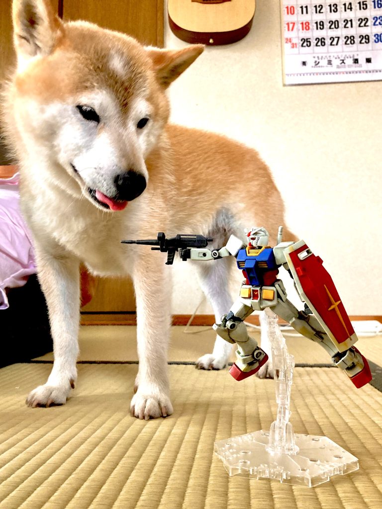 以上、我が家のガンプラストーリーにお付き合いいただき ありがとうございました‼️