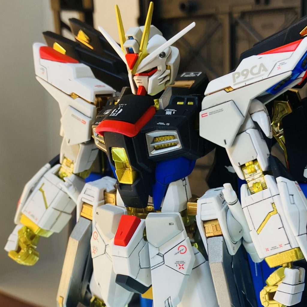 rgストライクフリーダム 全塗装｜tomatozZoさんのガンプラ作品｜GUNSTA