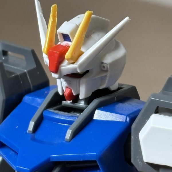 最近、seedを見始めたんですよ