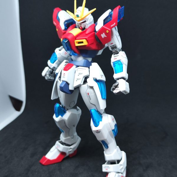 HGトライバーニング