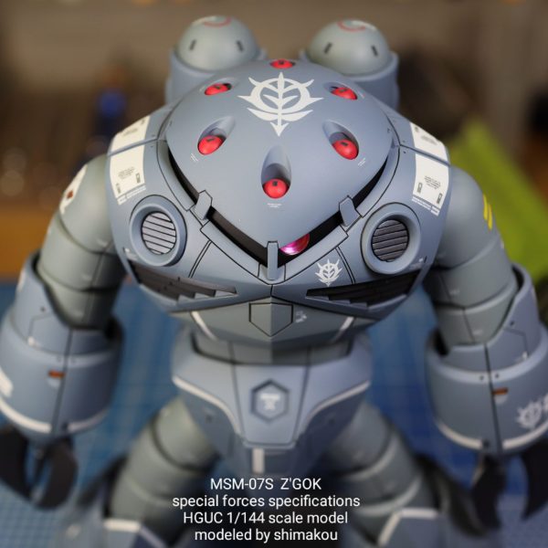 特殊部隊仕様のズゴック