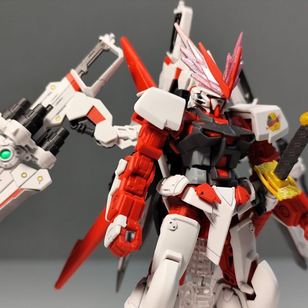 レッドフレーム　レッドドラゴン