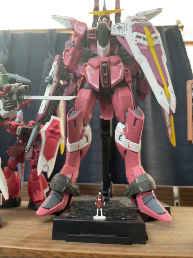 実は、片足が付け根からもげてしまい、自立不可能に陥ったので、スタンドでごまかしてます😨あと、アスラン塗るの難し過ぎる😑