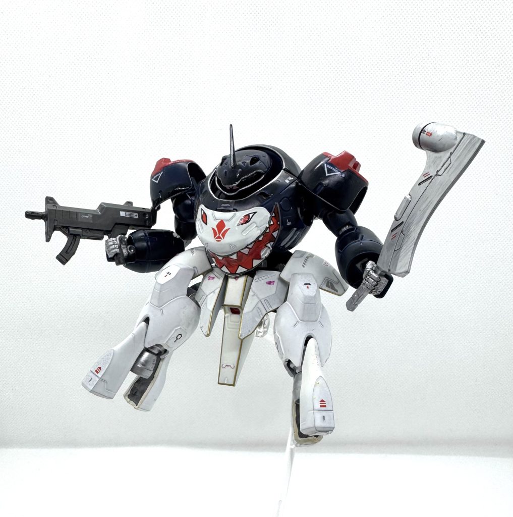 サメっぽいけど水泳部じゃないよ？