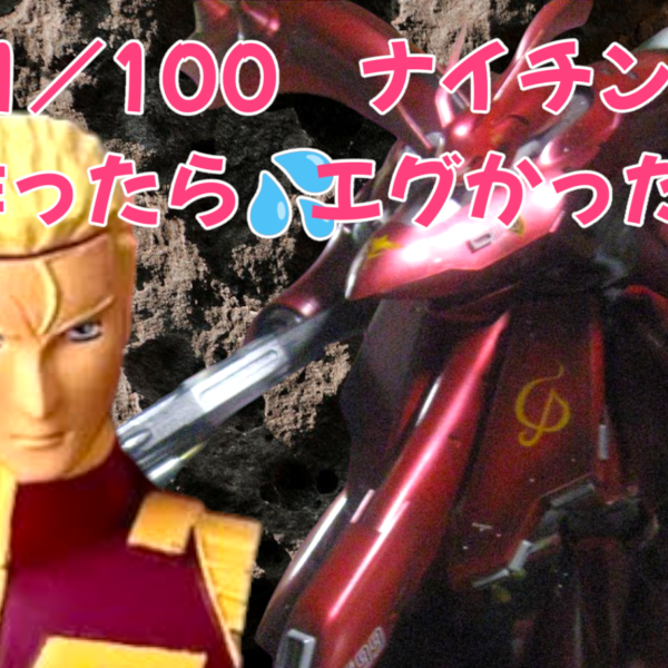 ＲＥ　１／100　ナイチンゲール　作ったら　大きさがエグかった。