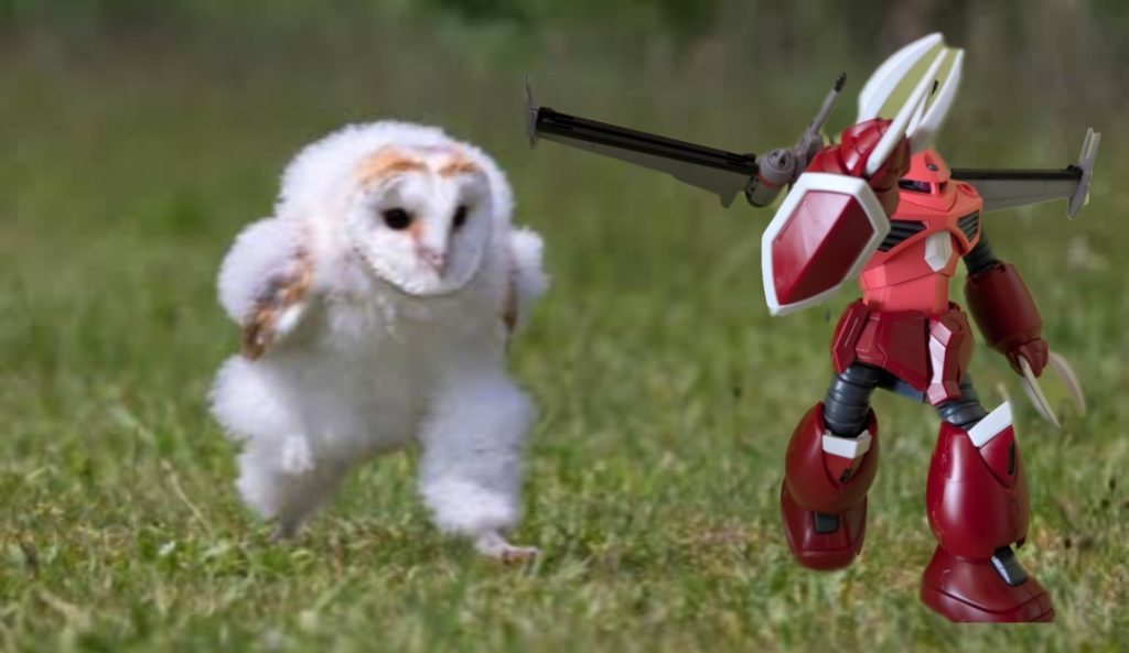 フクロウと競争。ｴｯﾎ ｴｯﾎ ｴｯﾎ