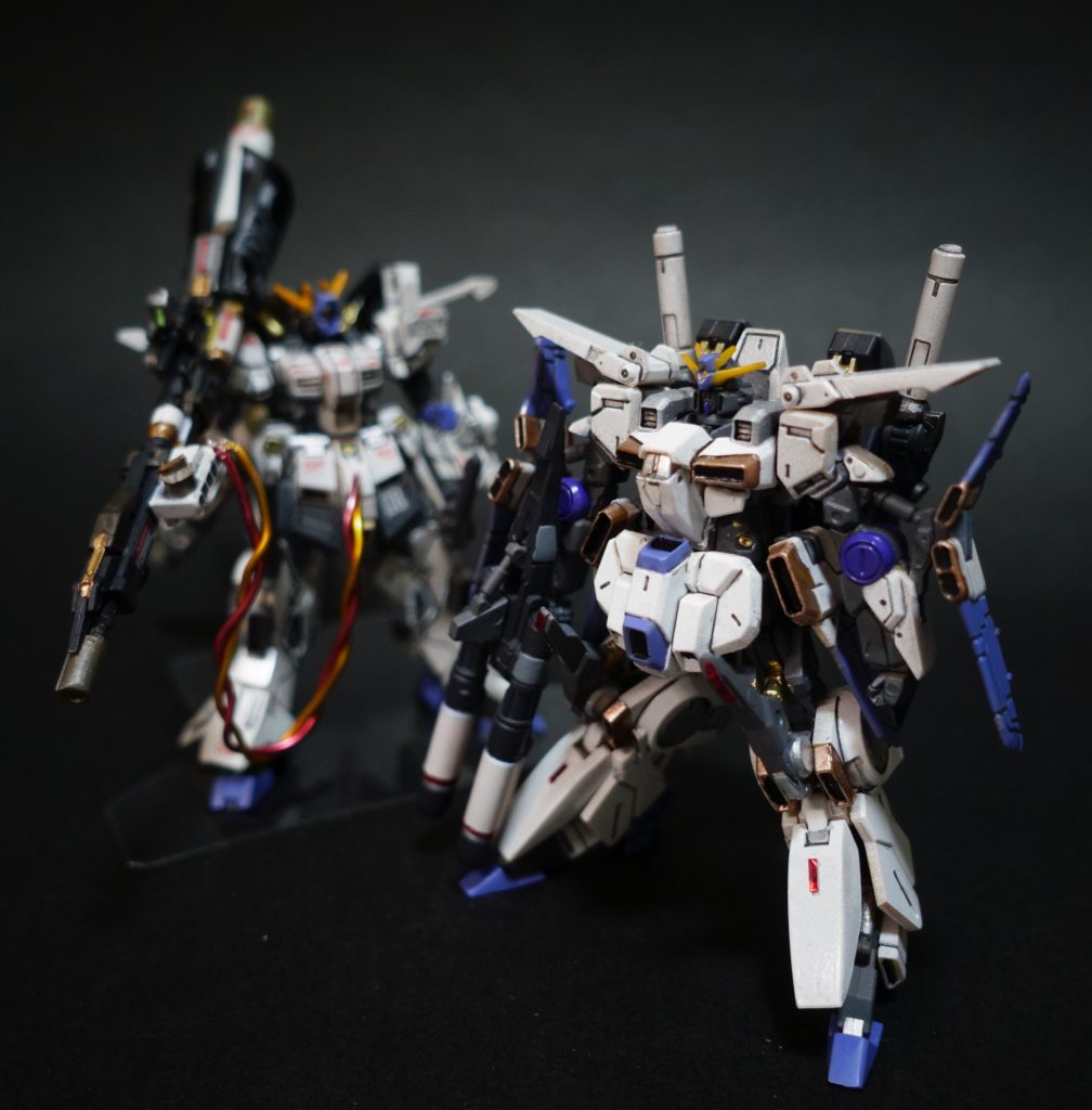 11.    なので並べて撮るのを楽しみにしておりました。