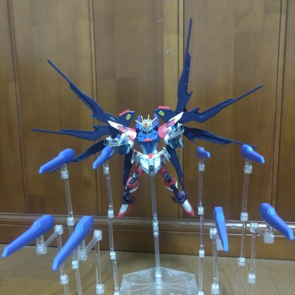 オルタナフリーダム イモータルヴィジョン