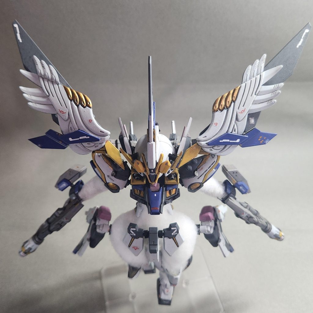 A clear top view of the wings. The picture was shot from above for everyone to see.