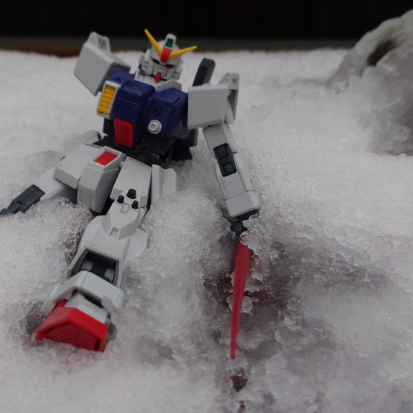 雪が降ったので…