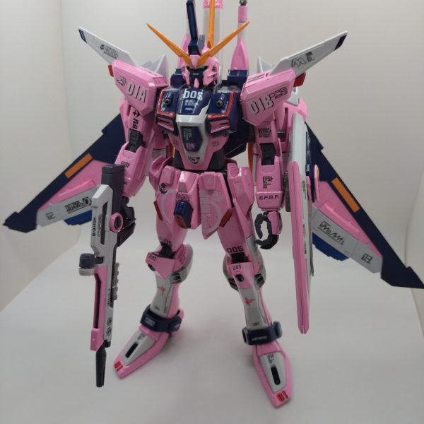 インフィニットジャスティスガンダム、ライブコンサートピンク