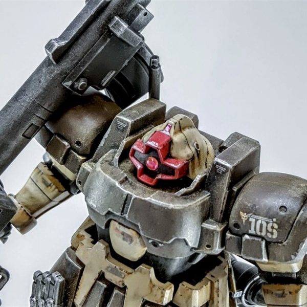 HG MS-09F/TROP DOM TROPEN (UNICORN Ver.)