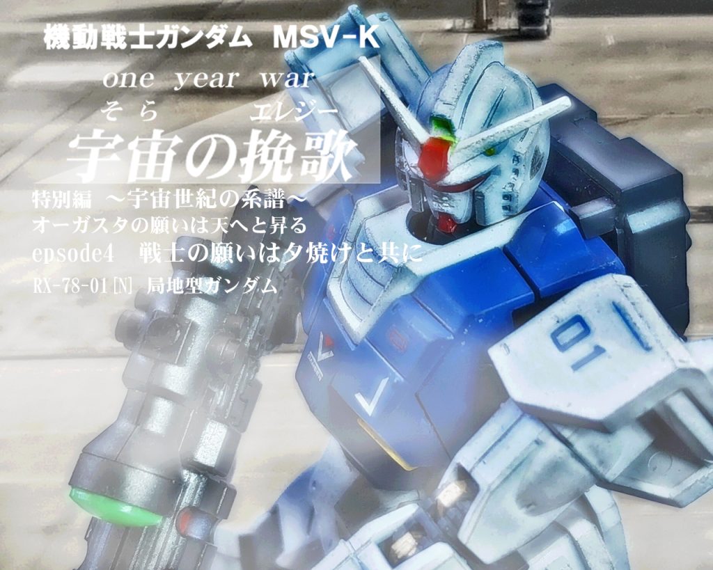 HGMSD 局地型ガンダム