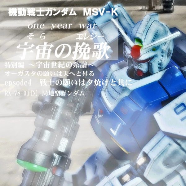 HGMSD 局地型ガンダム