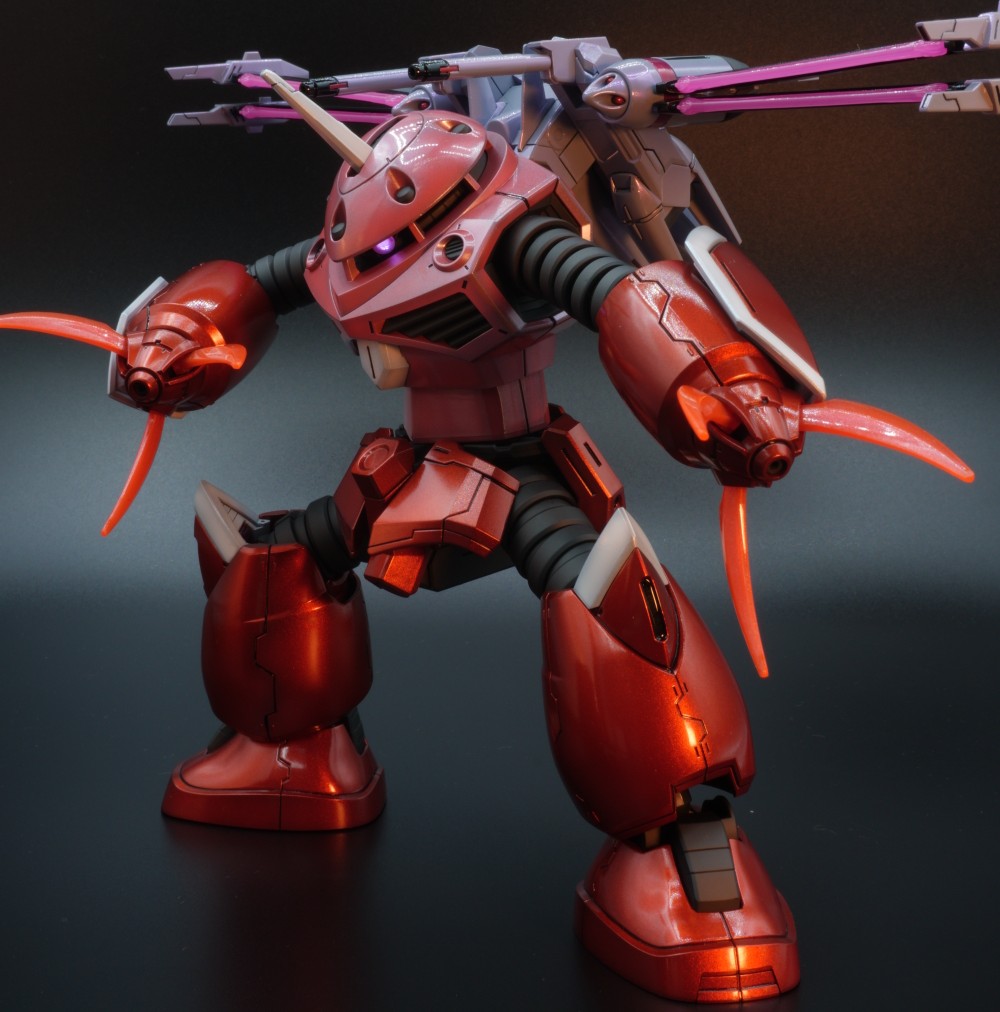 HG ズゴック(SEED FREEDOM Ver.)