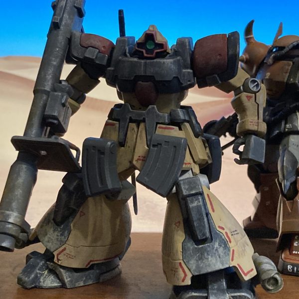 ドムトローペン っです‼️