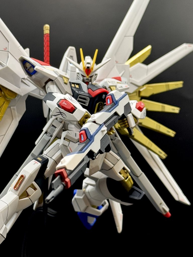 HGとは思えないほど武装ギミックや可動域が凄まじく楽しくて色々遊んでました。そして塗装がハゲていきます。