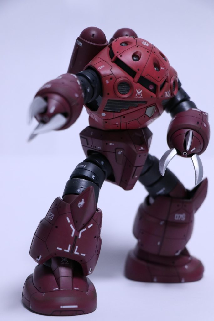 HG シャア専用ズゴック–5枚目/制作者：テラ