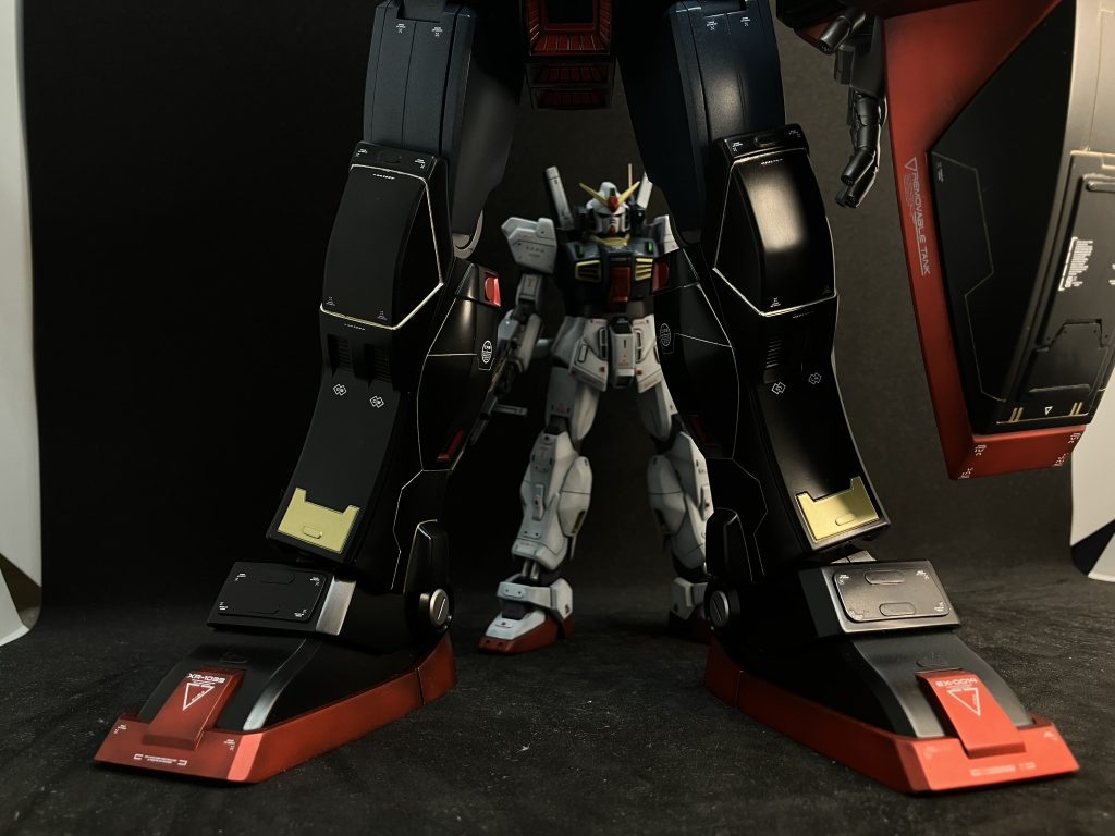 何とか一緒に飾れて良かったです。最後まで見て頂き、ありがとうございます。また投稿しますので宜しかったら見てやって下さい。