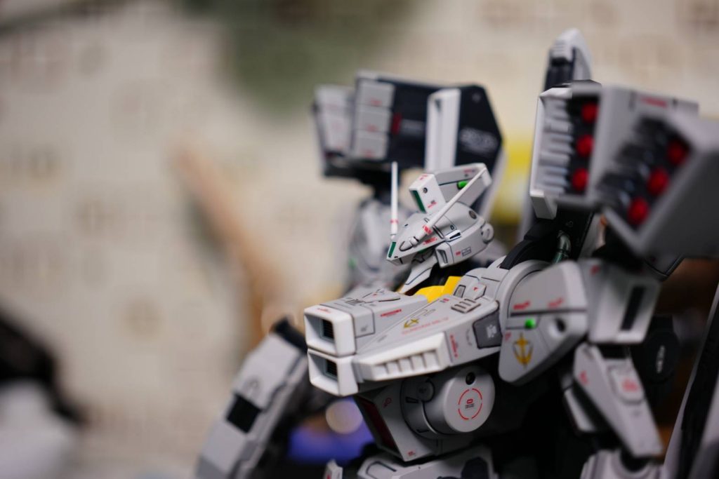 友達が一眼で撮ってくれました！