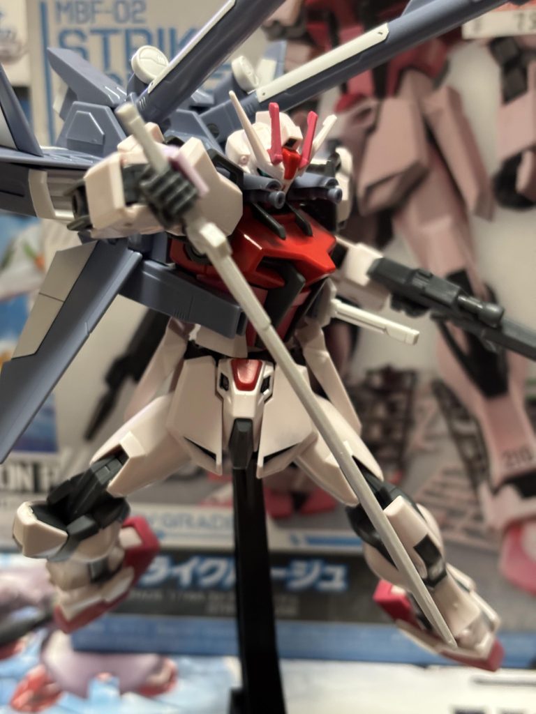 キャバリアーどないしよう？