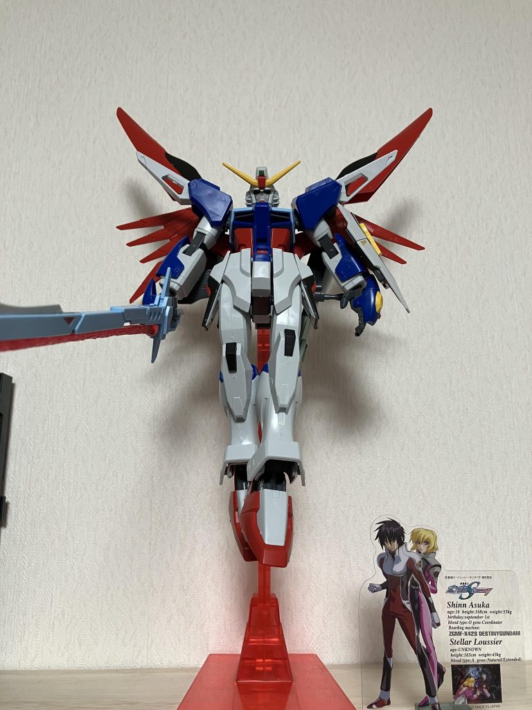 シンとステラも一緒に