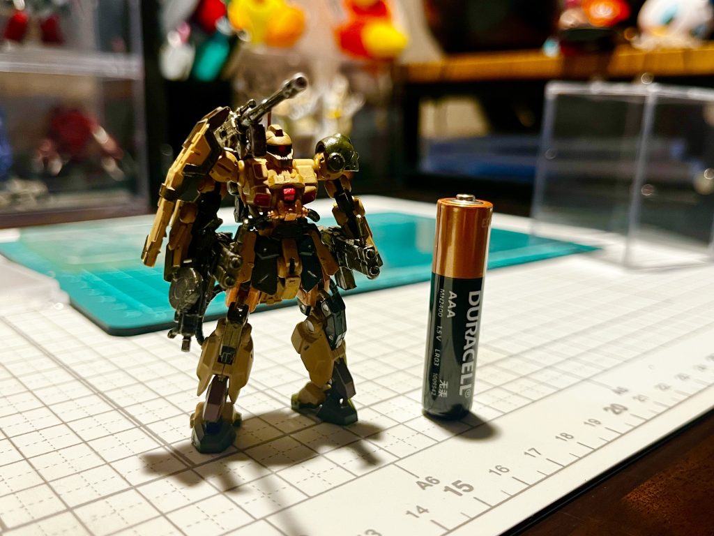 想像していた3倍は小さくてビビりました。