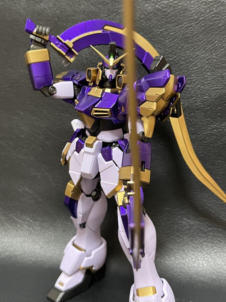 ポージングをば。しっかりライジングタイ○ン風に出来てますかね。