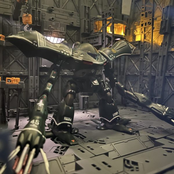 リアルタイプハイゴッグ