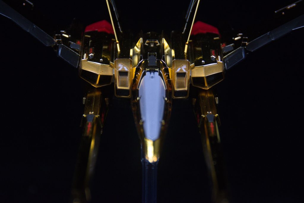 オオワシの白が一番上手くできたかもしれません。本体とドッキングさせると見えませんが(笑)