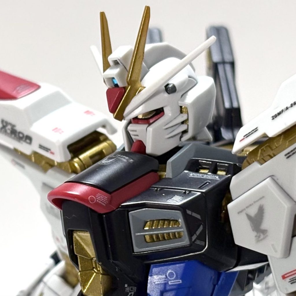 Amazon | PG 1/60 ZGMF-X20A ストライクフリーダムガンダム