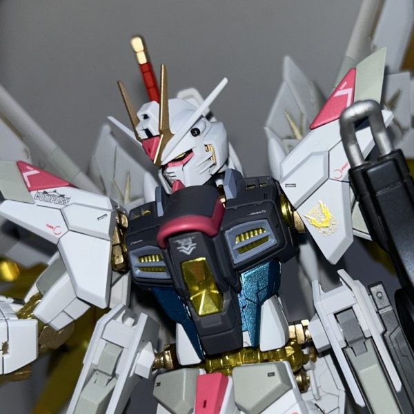 RG マイティストライクフリーダムガンダム