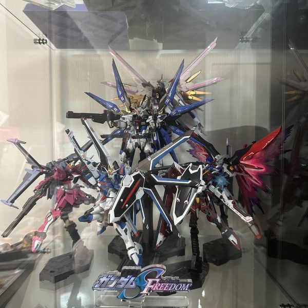 seed freedom主人公機補完中