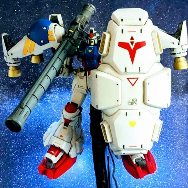 電飾サイサリス