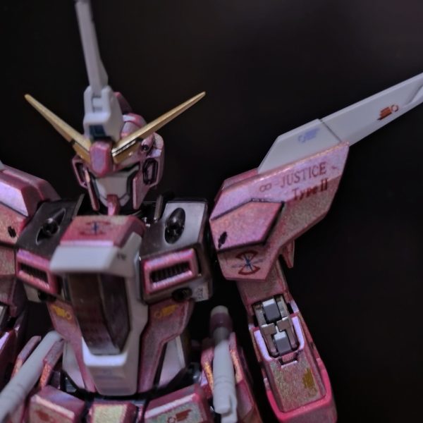 自作デカール盛り盛りHGCE∞ジャスティス弐式