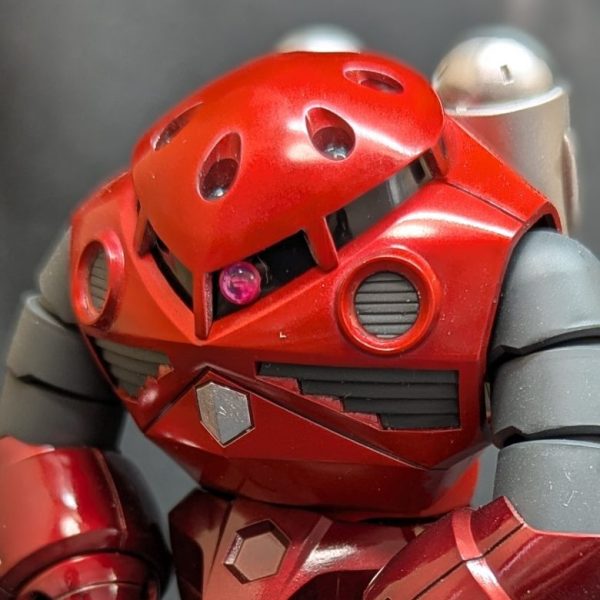 HG シャア専用ズゴック｜Roychickさんのガンプラ作品｜GUNSTA
