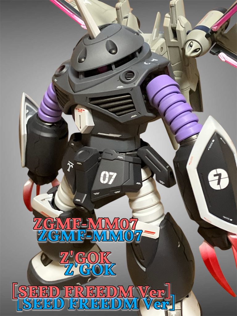 ズゴック単体です