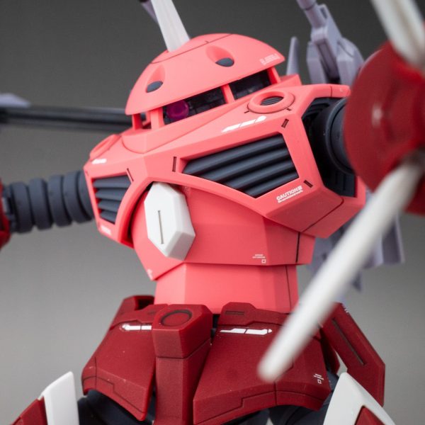 HG ズゴック SEED FREEDOM Ver.(簡単フィニッシュ)