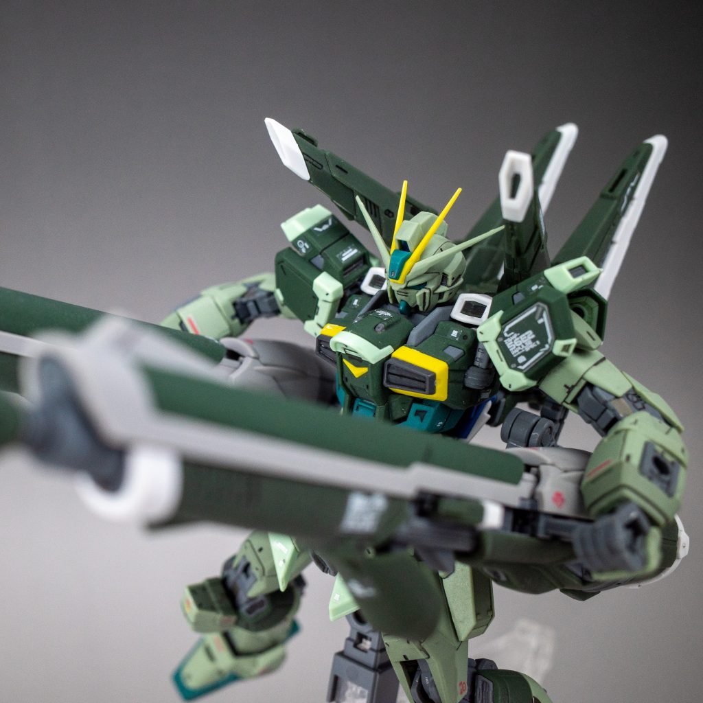 RG ブラストインパルスガンダムSpecII (簡単フィニッシュ)–8枚目/制作者：M.マウス Ver.Le