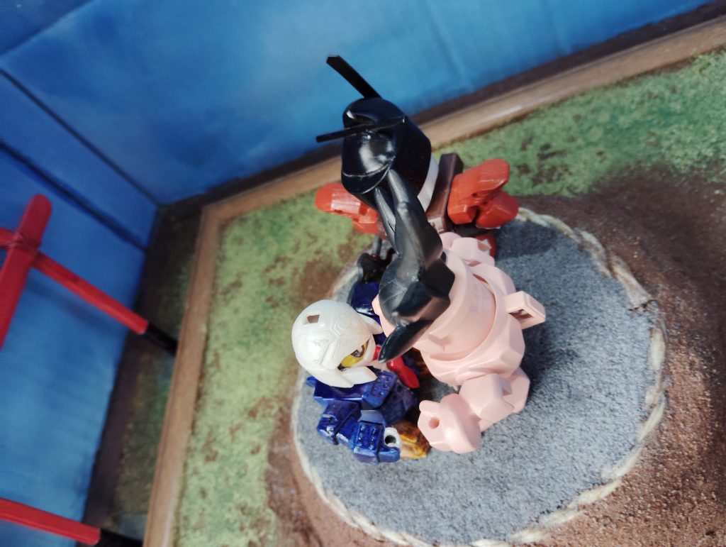 以前のアカウントで紹介したゴローくんと裸くんで取っ組み合い中々の白熱戦だ