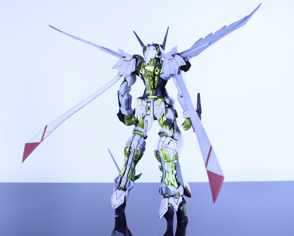 背面も抜かりなく。