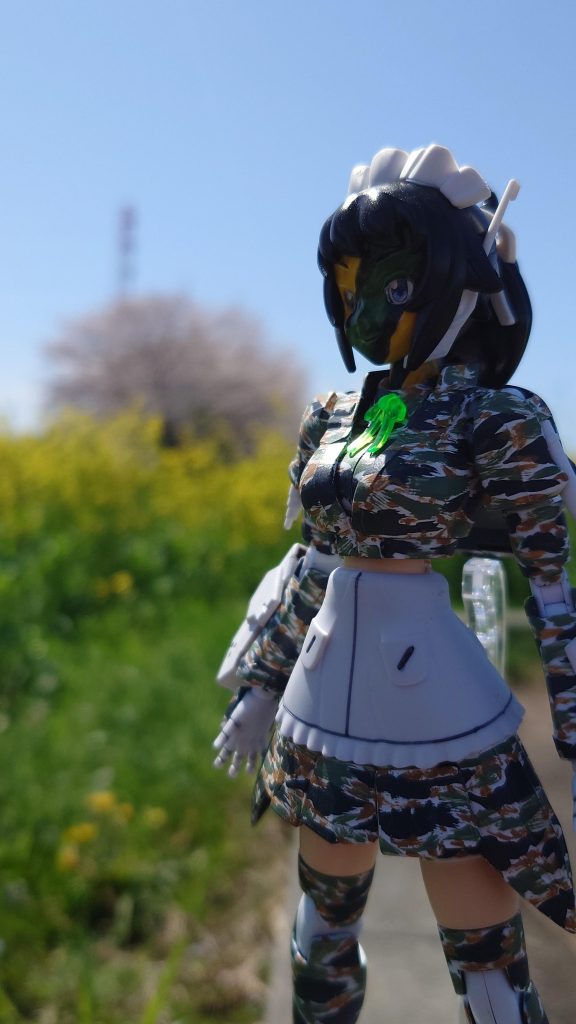 桜と菜の花をバックに情景ジオラマ撮影。