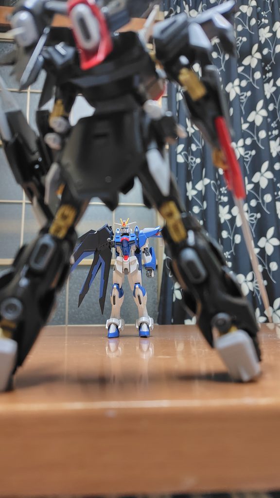 ライジングフリーダムはボロボロの立ち往生した。